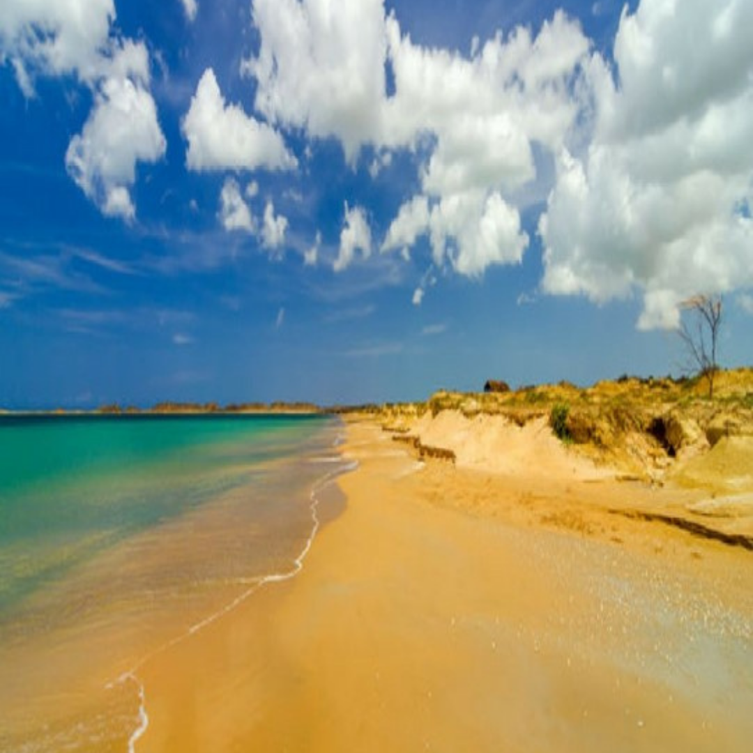 Viaje a la Guajira Colombia todo incluido, tour Guajira desde Bogota, tour Valledupar Guajira Colombia, excursión a la guajira, tour a la guajira con transporte